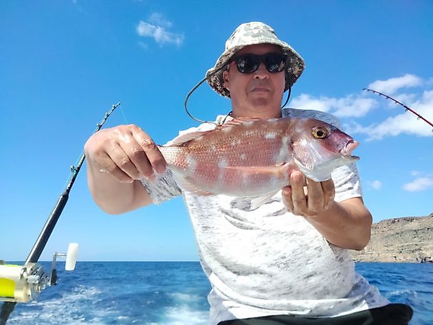 Amberjack day. White Marlin Gran Canaria