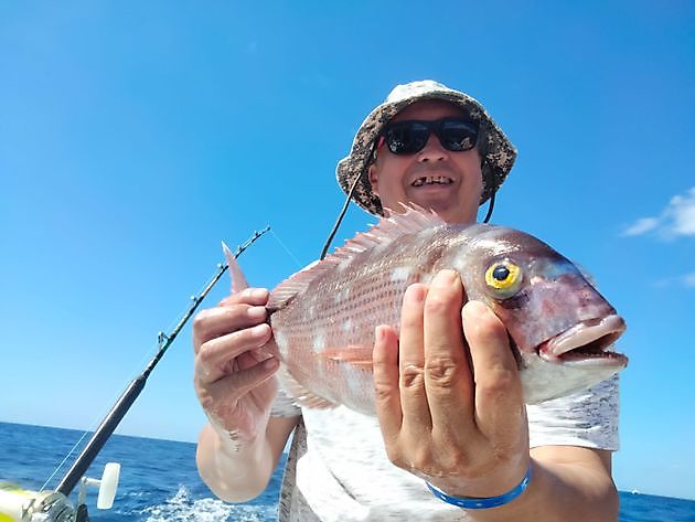 Great fishing day with live bait again. White Marlin Gran Canaria