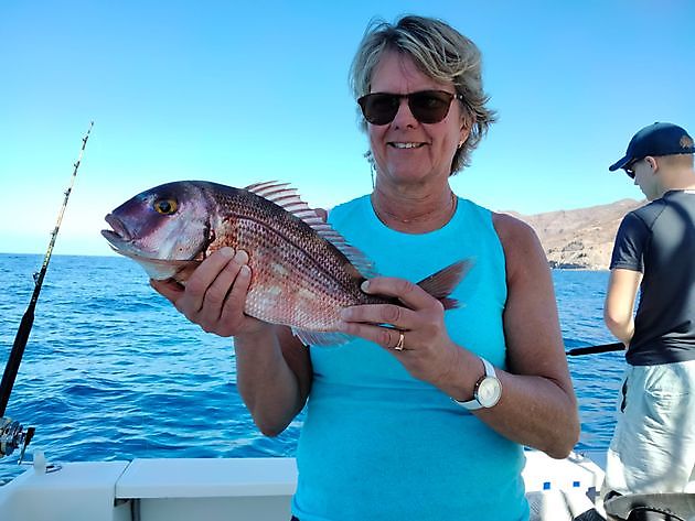 Great fishing day with live bait again. White Marlin Gran Canaria