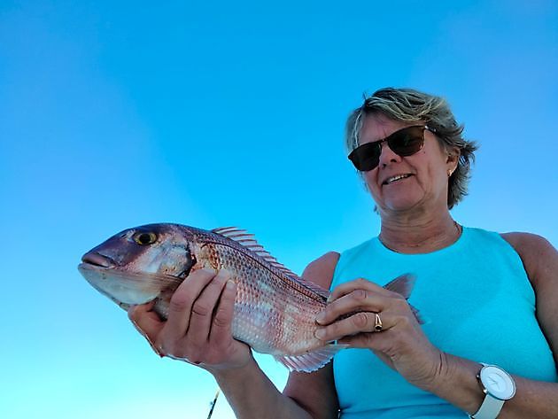 Great fishing day with live bait again. White Marlin Gran Canaria