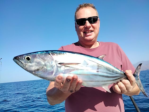 Red Snappers beaivi. White Marlin Gran Canaria