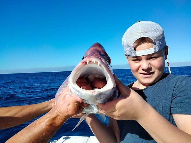 Meer van de bodemvisserij. White Marlin Gran Canaria