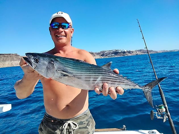 Amberjack vissen. White Marlin Gran Canaria
