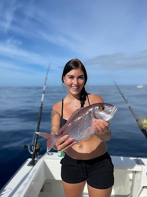 Fiske Amberjack. White Marlin Gran Canaria