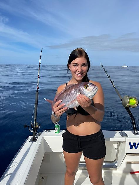 Amberjack explosie. White Marlin Gran Canaria