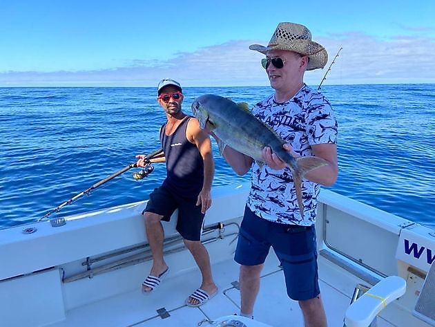 Heute mehr Amberjacks. White Marlin Gran Canaria