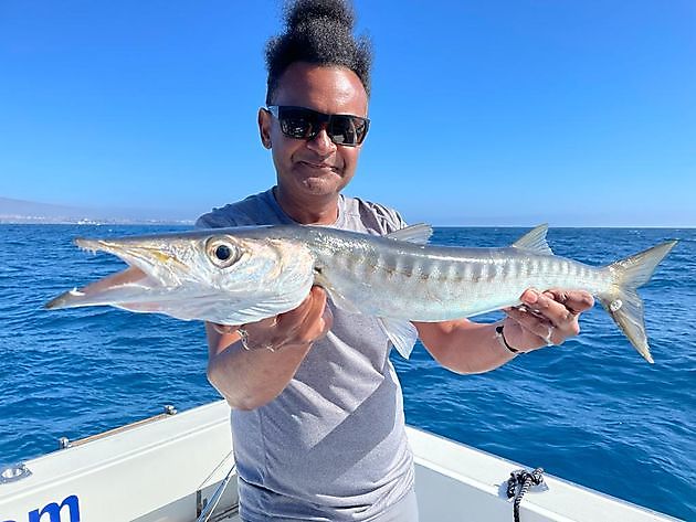 Frischer Tintenfisch als Köder. White Marlin Gran Canaria