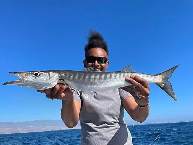 Zurück zum Angeln. White Marlin Gran Canaria