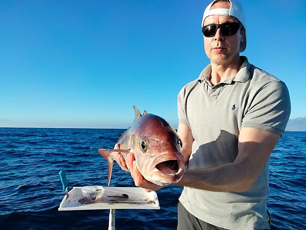 Litt mer fra i dag. White Marlin Gran Canaria