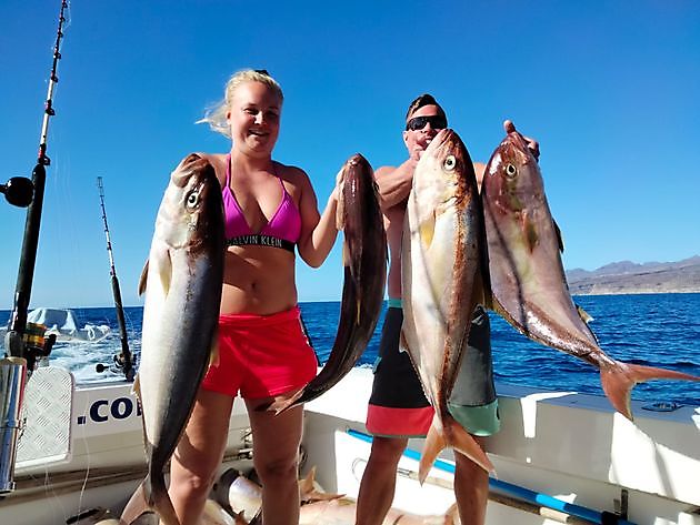 Amberjack explosie. - White Marlin Gran Canaria