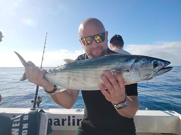 Kommen Sie mit uns angeln. - White Marlin Gran Canaria