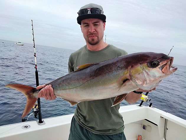 Litt mer fra i dag. White Marlin Gran Canaria