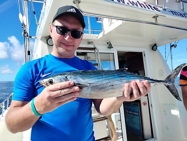Kurzausflug. White Marlin Gran Canaria