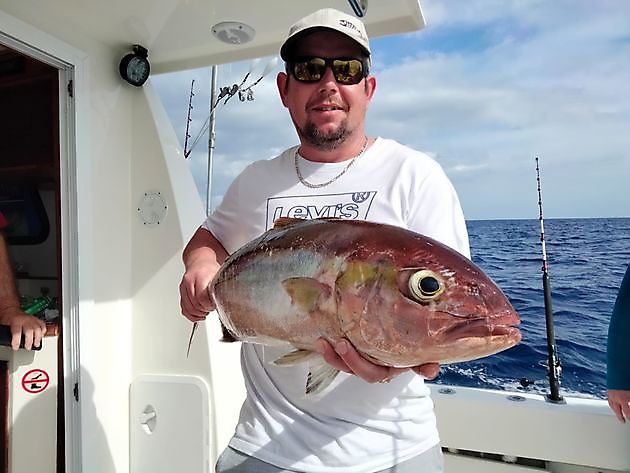 Salir a pescar de nuevo. White Marlin Gran Canaria