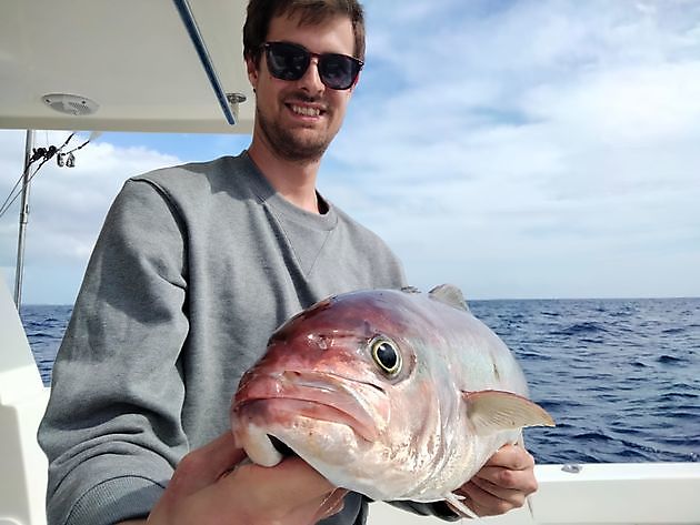 Salir a pescar de nuevo. White Marlin Gran Canaria