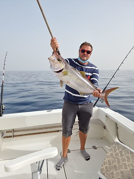 Amberjack-Explosion. - White Marlin Gran Canaria