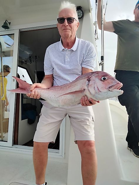 Bursdagsfiske. White Marlin Gran Canaria