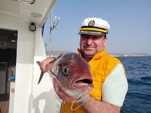 Noen av fangstene i dag. White Marlin Gran Canaria