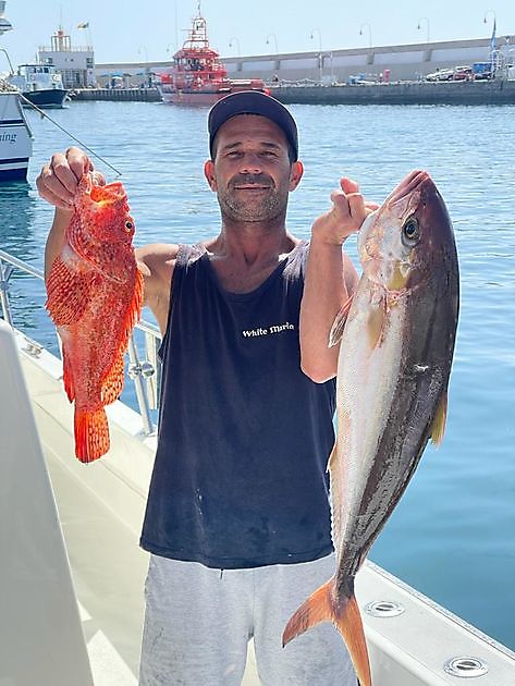Erster Angeltag. White Marlin Gran Canaria