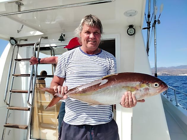 Die heutigen Ergebnisse. White Marlin Gran Canaria