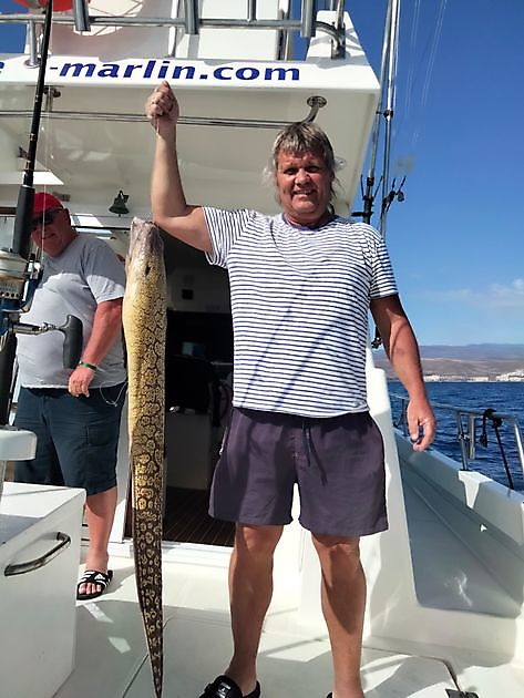 Los resultados de hoy. White Marlin Gran Canaria