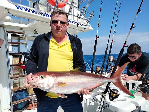 Geteilte Charter auf dem tiefen Riff. White Marlin Gran Canaria