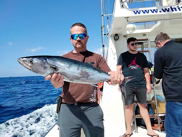 Geteilte Charter auf dem tiefen Riff. White Marlin Gran Canaria