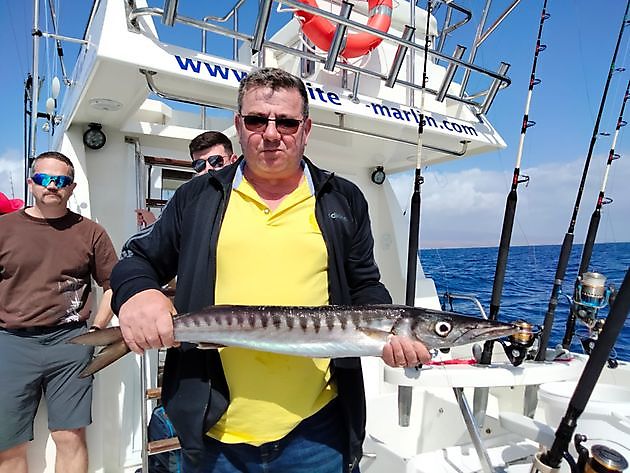Geteilte Charter auf dem tiefen Riff. White Marlin Gran Canaria
