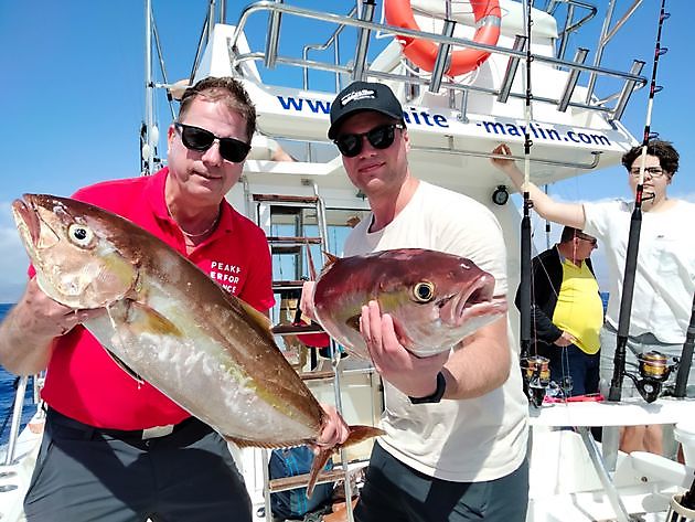 Geteilte Charter auf dem tiefen Riff. White Marlin Gran Canaria