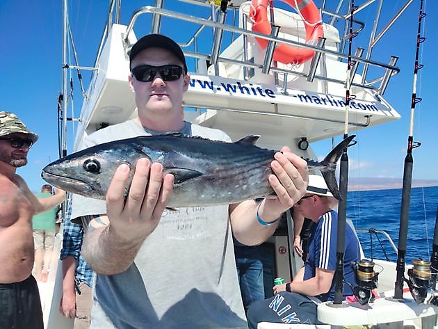 Starke Johannisbeeren. White Marlin Gran Canaria