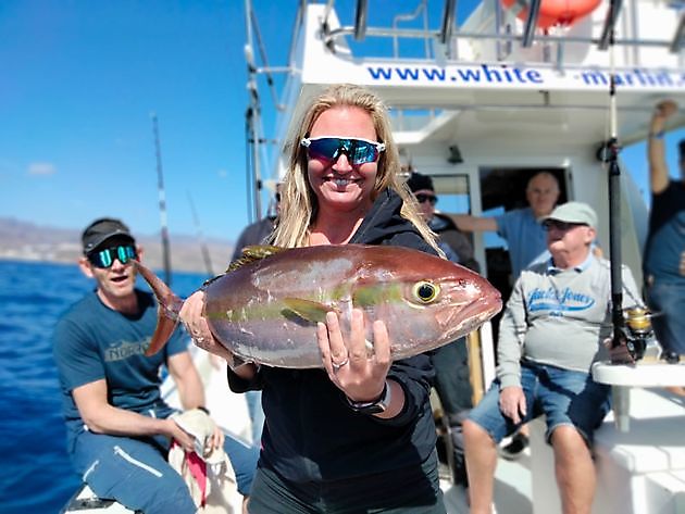 Windiger Tag 💨 White Marlin Gran Canaria