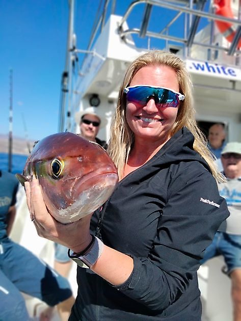 Windiger Tag 💨 White Marlin Gran Canaria