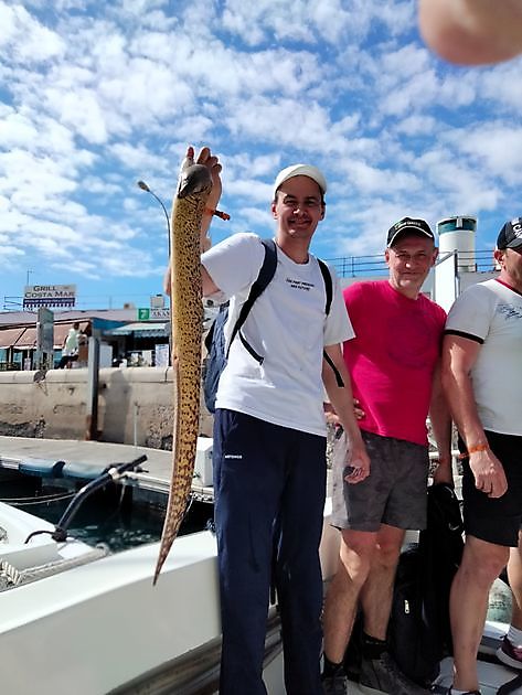 Shared Charter. White Marlin Gran Canaria