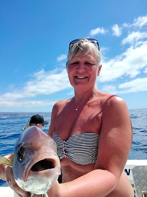 Gedeeld Handvest. - White Marlin Gran Canaria