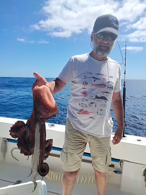 Delt charter. White Marlin Gran Canaria