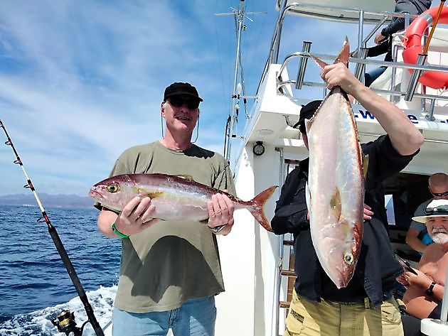 Sterke stromingen. White Marlin Gran Canaria