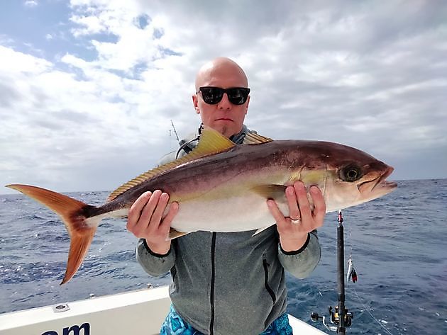 Angeln wieder. White Marlin Gran Canaria