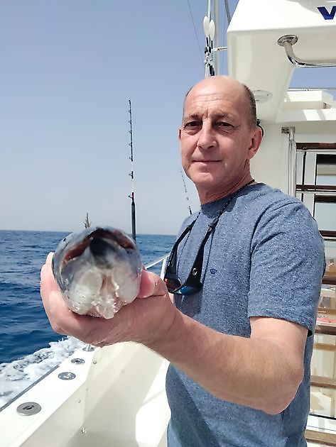 Dentones rosas. White Marlin Gran Canaria