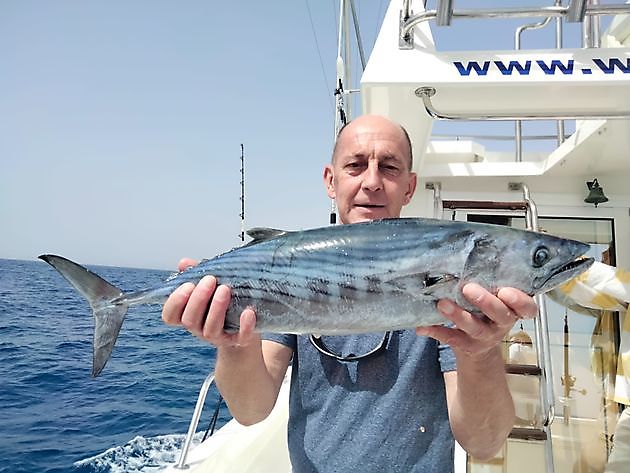 Rosa Dentons. White Marlin Gran Canaria