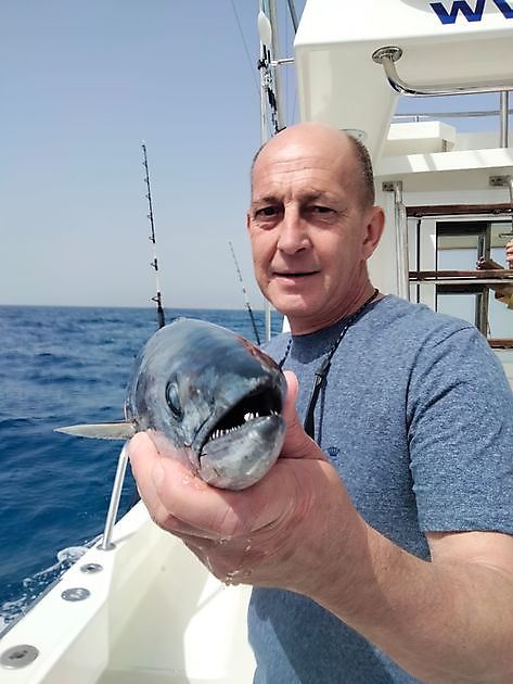 Rosa Dentons. White Marlin Gran Canaria