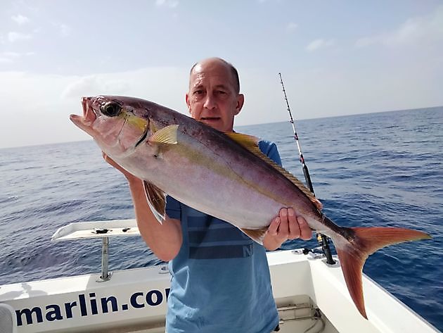 Pink Dentons. White Marlin Gran Canaria