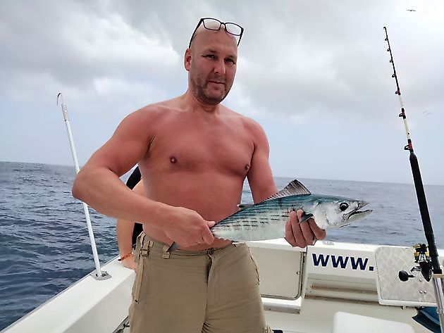 Dentones rosas. White Marlin Gran Canaria