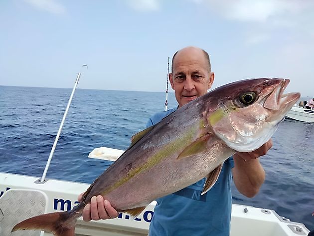 medregal. White Marlin Gran Canaria