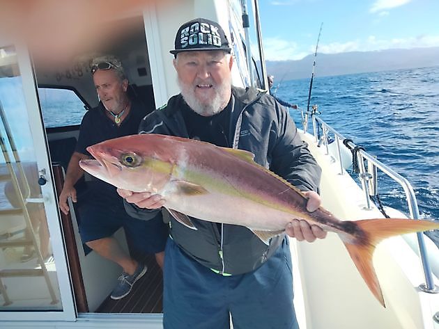 Pescando de nuevo. - White Marlin Gran Canaria