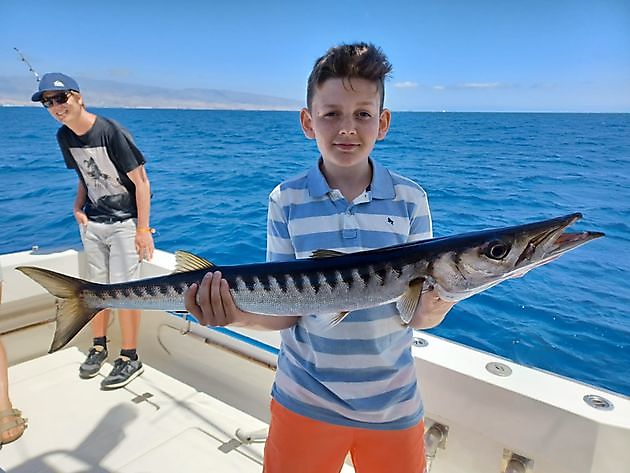 Bláđđimarlin White Marlin Gran Canaria