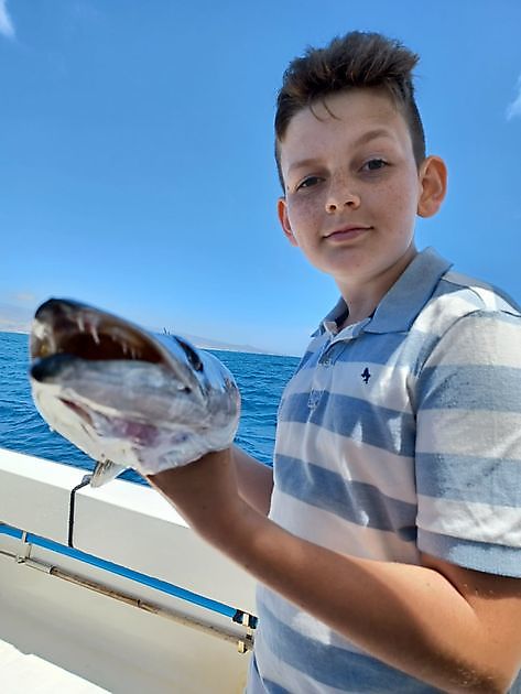 Angeln auf Marline White Marlin Gran Canaria