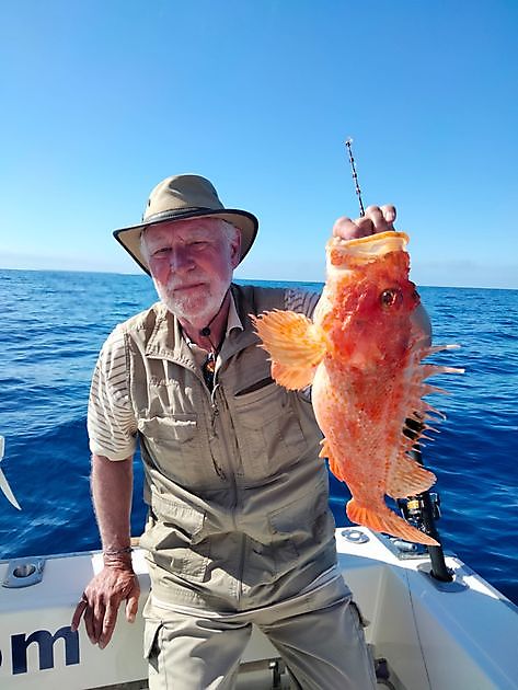 Scorpions. White Marlin Gran Canaria