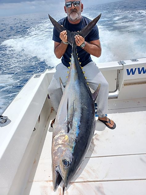 Marlín azul White Marlin Gran Canaria
