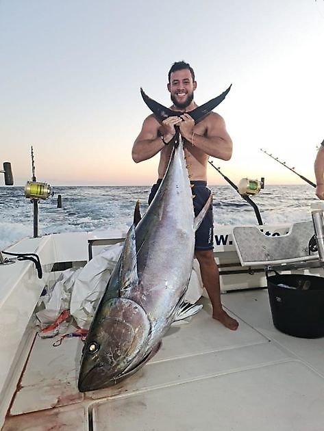 Grootoogtonijn White Marlin Gran Canaria