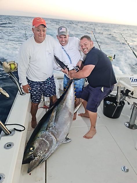 Grootoogtonijn White Marlin Gran Canaria